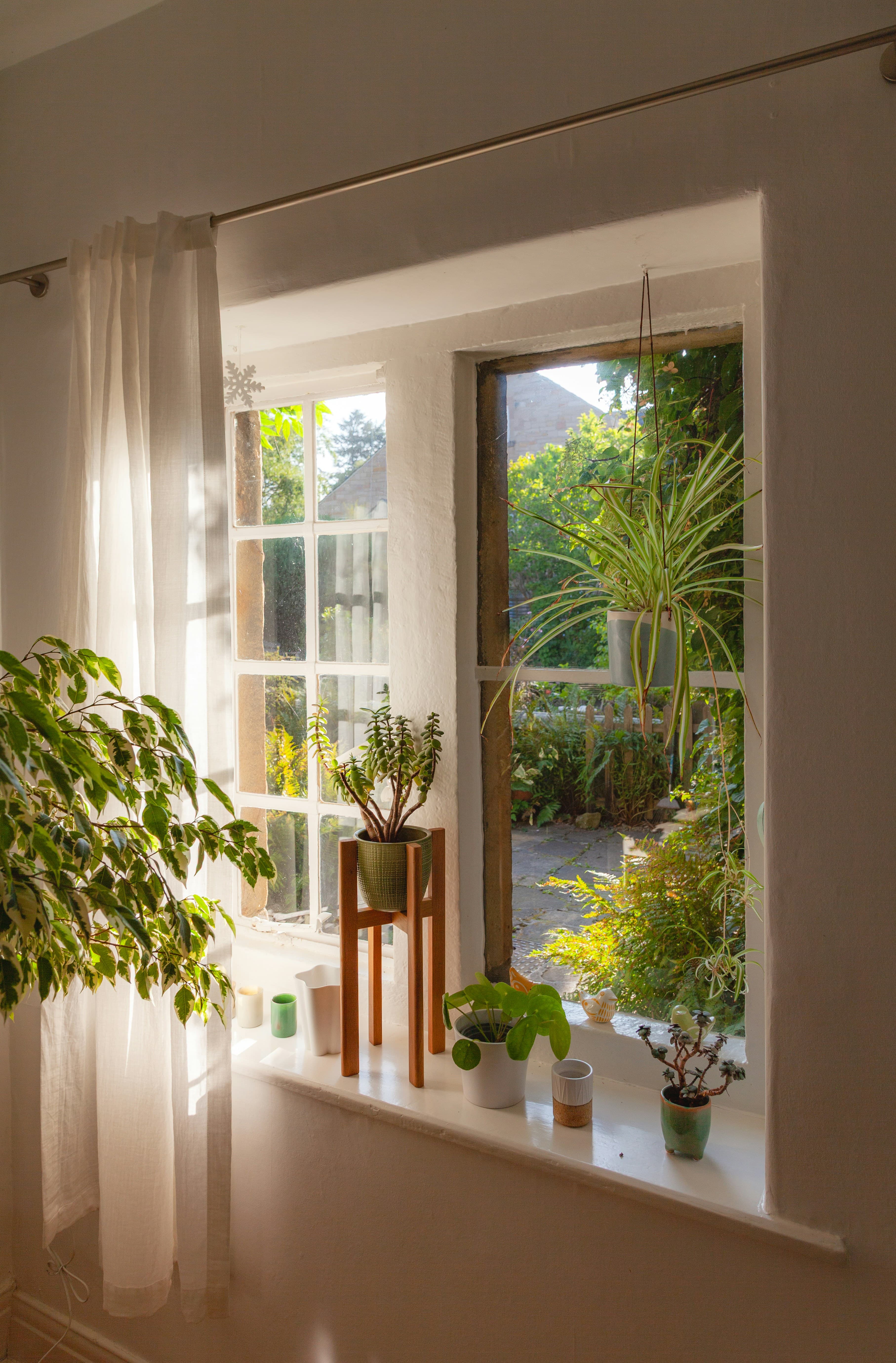 Naturally bright and ventilated home